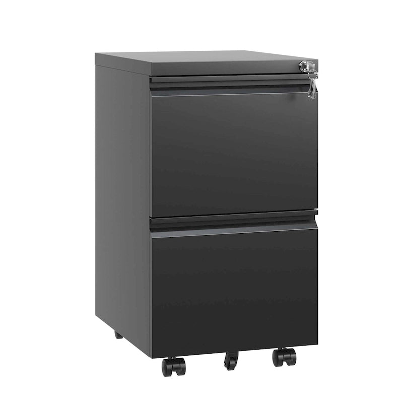 2-Drawer Rolling Metal File Cabinet with Lock - Fits Letter, Legal, A4